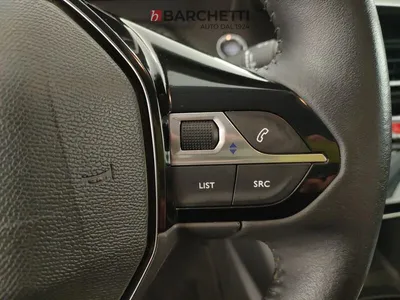 Peugeot 208 – 13/21